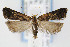  ( - CNCLEP00067828)  @14 [ ] CreativeCommons - Attribution Non-Commercial Share-Alike (2007) Unspecified Canadian National Collection