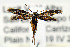  ( - CNCLEP00068714)  @13 [ ] CreativeCommons - Attribution Non-Commercial Share-Alike (2007) Unspecified Canadian National Collection
