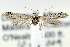  ( - CNCLEP00068746)  @13 [ ] CreativeCommons - Attribution Non-Commercial Share-Alike (2007) Unspecified Canadian National Collection