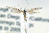  ( - CNCLEP00068765)  @13 [ ] CreativeCommons - Attribution Non-Commercial Share-Alike (2007) Unspecified Canadian National Collection