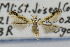  ( - CNCLEP00076363)  @13 [ ] CreativeCommons - Attribution Non-Commercial Share-Alike (2007) Unspecified Canadian National Collection