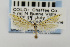  ( - CNCLEP00076514)  @13 [ ] CreativeCommons - Attribution Non-Commercial Share-Alike (2011) Jean-Francois Landry Canadian National Collection