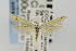  ( - CNCLEP00076516)  @12 [ ] CreativeCommons - Attribution Non-Commercial Share-Alike (2011) Jean-Francois Landry Canadian National Collection