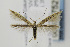  ( - CNCLEP00077752)  @14 [ ] CreativeCommons - Attribution Non-Commercial Share-Alike (2011) Jean-Francois Landry Canadian National Collection