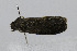  ( - CNCLEP00078012)  @12 [ ] CreativeCommons - Attribution Non-Commercial Share-Alike (2007) Unspecified Canadian National Collection