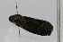  ( - CNCLEP00078013)  @12 [ ] CreativeCommons - Attribution Non-Commercial Share-Alike (2007) Unspecified Canadian National Collection