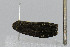  ( - CNCLEP00078016)  @12 [ ] CreativeCommons - Attribution Non-Commercial Share-Alike (2007) Unspecified Canadian National Collection