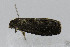  ( - CNCLEP00078017)  @12 [ ] CreativeCommons - Attribution Non-Commercial Share-Alike (2007) Unspecified Canadian National Collection