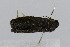  ( - CNCLEP00078029)  @12 [ ] CreativeCommons - Attribution Non-Commercial Share-Alike (2007) Unspecified Canadian National Collection