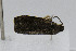  ( - CNCLEP00078031)  @12 [ ] CreativeCommons - Attribution Non-Commercial Share-Alike (2007) Unspecified Canadian National Collection