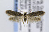  ( - CNCLEP00078040)  @14 [ ] CreativeCommons - Attribution Non-Commercial Share-Alike (2007) Unspecified Canadian National Collection