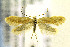  ( - CNCLEP00108900)  @13 [ ] CreativeCommons - Attribution Non-Commercial Share-Alike (2013) Jean-Francois Landry Canadian National Collection