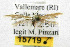 ( - CNCLEP00110061)  @12 [ ] CreativeCommons - Attribution Non-Commercial Share-Alike (2013) Jean-Francois Landry Canadian National Collection