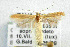  ( - CNCLEP00110064)  @12 [ ] CreativeCommons - Attribution Non-Commercial Share-Alike (2013) Jean-Francois Landry Canadian National Collection