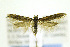  ( - JD10906)  @13 [ ] Copyright (2013) Jean-Francois Landry Canadian National Collection