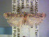  ( - POHL-10-00004)  @13 [ ] Copyright (2007) Unspecified Canadian National Collection