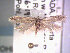  ( - POHL-10-00181)  @13 [ ] Copyright (2007) Unspecified Canadian National Collection