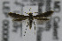  ( - CNCLEP00006754)  @12 [ ] CreativeCommons - Attribution Non-Commercial Share-Alike (2007) Unspecified Canadian National Collection
