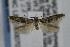  ( - CNCLEP00007075)  @14 [ ] CreativeCommons - Attribution Non-Commercial Share-Alike (2007) Unspecified Canadian National Collection