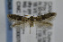  ( - CNCLEP00007079)  @14 [ ] CreativeCommons - Attribution Non-Commercial Share-Alike (2007) Unspecified Canadian National Collection