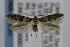  ( - CNCLEP00007080)  @14 [ ] CreativeCommons - Attribution Non-Commercial Share-Alike (2007) Unspecified Canadian National Collection