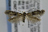  ( - CNCLEP00007082)  @14 [ ] CreativeCommons - Attribution Non-Commercial Share-Alike (2007) Unspecified Canadian National Collection