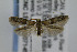  ( - CNCLEP00007145)  @14 [ ] CreativeCommons - Attribution Non-Commercial Share-Alike (2007) Unspecified Canadian National Collection