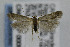  ( - CNCLEP00007227)  @13 [ ] CreativeCommons - Attribution Non-Commercial Share-Alike (2007) Unspecified Canadian National Collection