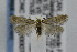  ( - CNCLEP00007229)  @13 [ ] CreativeCommons - Attribution Non-Commercial Share-Alike (2007) Unspecified Canadian National Collection