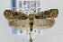  ( - CNCLEP00007289)  @13 [ ] CreativeCommons - Attribution Non-Commercial Share-Alike (2007) Unspecified Canadian National Collection