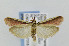  ( - CNCLEP00007318)  @14 [ ] CreativeCommons - Attribution Non-Commercial Share-Alike (2007) Unspecified Canadian National Collection