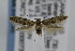  ( - CNCLEP00007392)  @14 [ ] CreativeCommons - Attribution Non-Commercial Share-Alike (2007) Unspecified Canadian National Collection