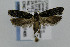  ( - CNCLEP00007405)  @13 [ ] CreativeCommons - Attribution Non-Commercial Share-Alike (2007) Unspecified Canadian National Collection