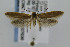  ( - CNCLEP00007636)  @13 [ ] CreativeCommons - Attribution Non-Commercial Share-Alike (2007) Unspecified Canadian National Collection