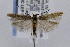  ( - CNCLEP00008385)  @14 [ ] CreativeCommons - Attribution Non-Commercial Share-Alike (2007) Unspecified Canadian National Collection