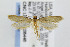  ( - CNCLEP00008448)  @14 [ ] CreativeCommons - Attribution Non-Commercial Share-Alike (2007) Unspecified Canadian National Collection