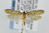  ( - CNCLEP00008451)  @14 [ ] CreativeCommons - Attribution Non-Commercial Share-Alike (2007) Unspecified Canadian National Collection