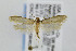  ( - CNCLEP00008452)  @14 [ ] CreativeCommons - Attribution Non-Commercial Share-Alike (2007) Unspecified Canadian National Collection
