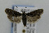  ( - CNCLEP00035779)  @12 [ ] CreativeCommons - Attribution Non-Commercial Share-Alike (2007) Unspecified Canadian National Collection
