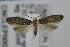  ( - CNCLEP00035862)  @13 [ ] CreativeCommons - Attribution Non-Commercial Share-Alike (2007) Unspecified Canadian National Collection