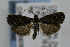 ( - CNCLEP00035871)  @12 [ ] CreativeCommons - Attribution Non-Commercial Share-Alike (2007) Unspecified Canadian National Collection