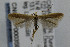  ( - CNCLEP00035912)  @12 [ ] CreativeCommons - Attribution Non-Commercial Share-Alike (2007) Unspecified Canadian National Collection