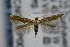  ( - CNCLEP00035968)  @14 [ ] CreativeCommons - Attribution Non-Commercial Share-Alike (2007) Unspecified Canadian National Collection