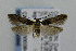  ( - CNCLEP00038420)  @12 [ ] CreativeCommons - Attribution Non-Commercial Share-Alike (2007) Unspecified Canadian National Collection