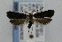  ( - CNCLEP00042920)  @12 [ ] CreativeCommons - Attribution Non-Commercial Share-Alike (2007) Unspecified Canadian National Collection
