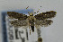  ( - CNCLEP00056794)  @13 [ ] CreativeCommons - Attribution Non-Commercial Share-Alike (2007) Unspecified Canadian National Collection