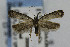  ( - CNCLEP00056796)  @13 [ ] CreativeCommons - Attribution Non-Commercial Share-Alike (2007) Unspecified Canadian National Collection
