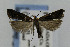  ( - CNCLEP00056798)  @13 [ ] CreativeCommons - Attribution Non-Commercial Share-Alike (2007) Unspecified Canadian National Collection