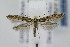  ( - CNCLEP00077875)  @14 [ ] CreativeCommons - Attribution Non-Commercial Share-Alike (2007) Unspecified Canadian National Collection