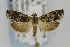  ( - CNCLEP00077934)  @13 [ ] CreativeCommons - Attribution Non-Commercial Share-Alike (2007) Unspecified Canadian National Collection